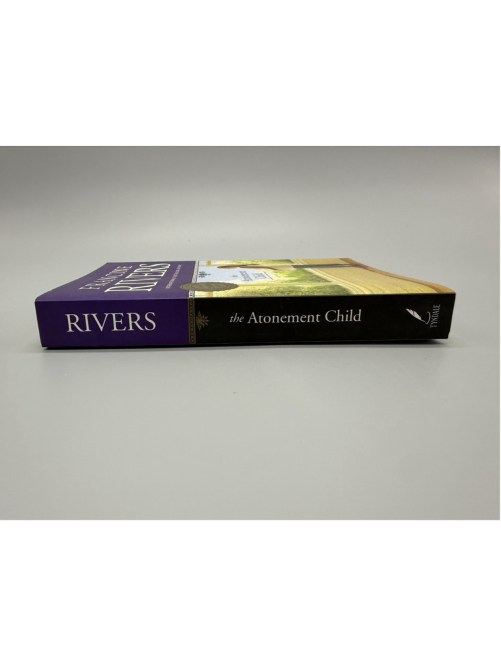 Francine Rivers The Atonement Child Trade Paperback Novel 1999 Tyndale - Picture 3 of 6